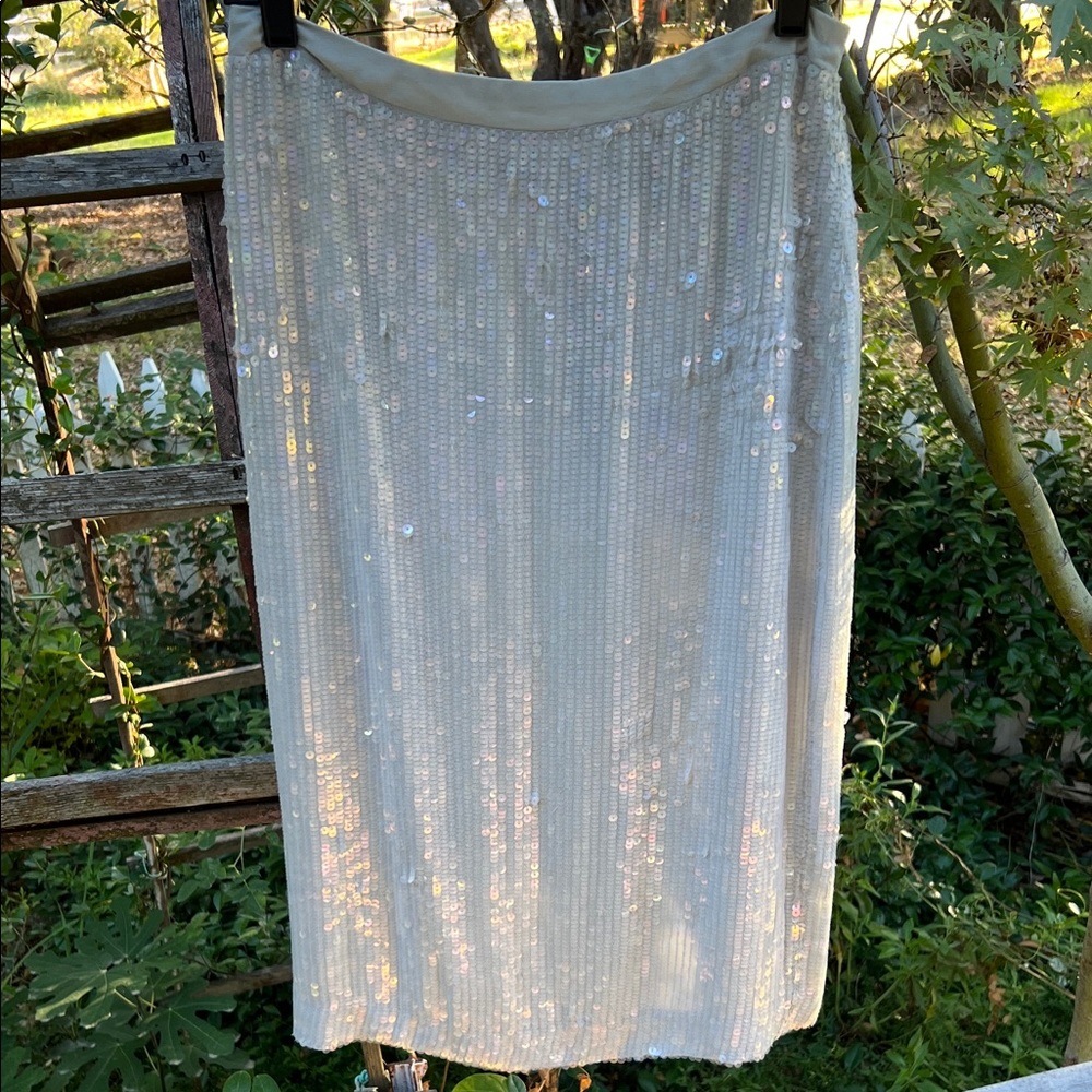 Gorgeous light grey Sequin Skirt brand new with tags!